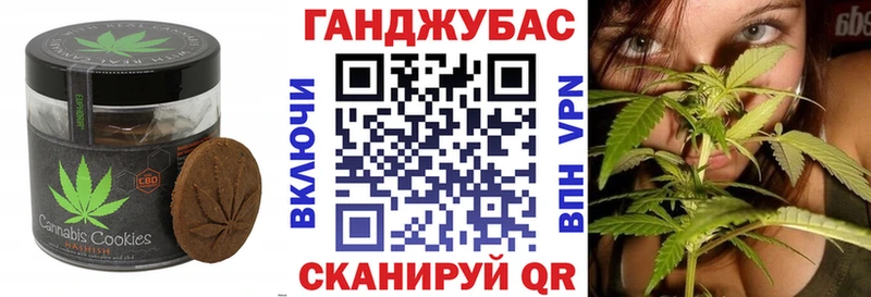 Canna-Cookies марихуана  MEGA ссылки  Тайшет 