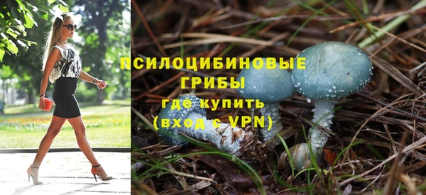 бутират Ельня