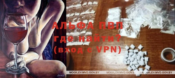 Альфа ПВП Елизово
