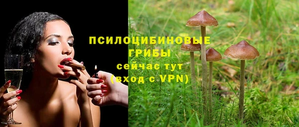 дурь Елабуга