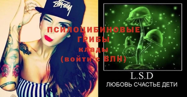 Альфа ПВП Елизово