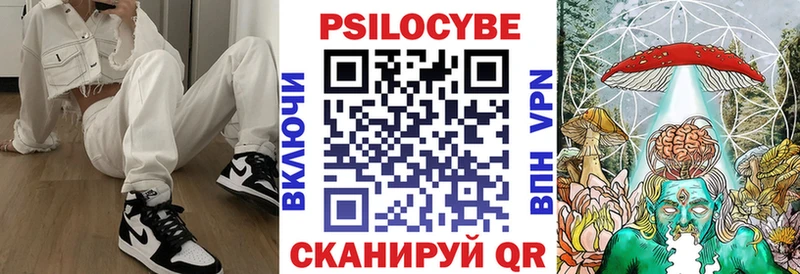 Галлюциногенные грибы Psilocybe Тайшет
