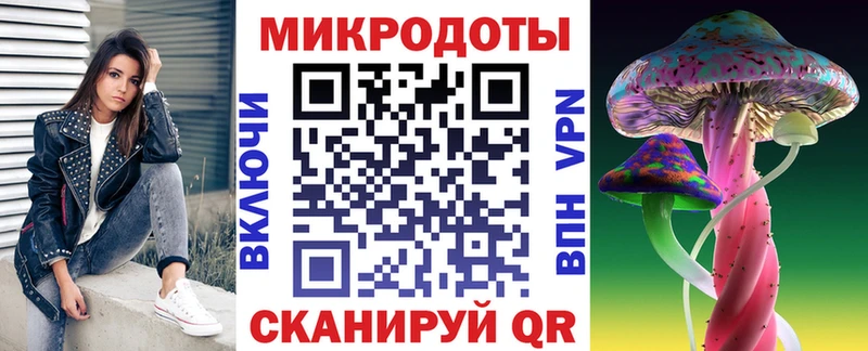 Псилоцибиновые грибы Psilocybine cubensis  Тайшет 